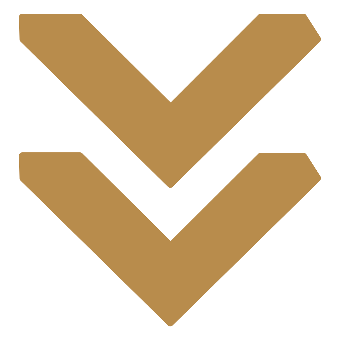 Hero Company VIP Program The Hero Company